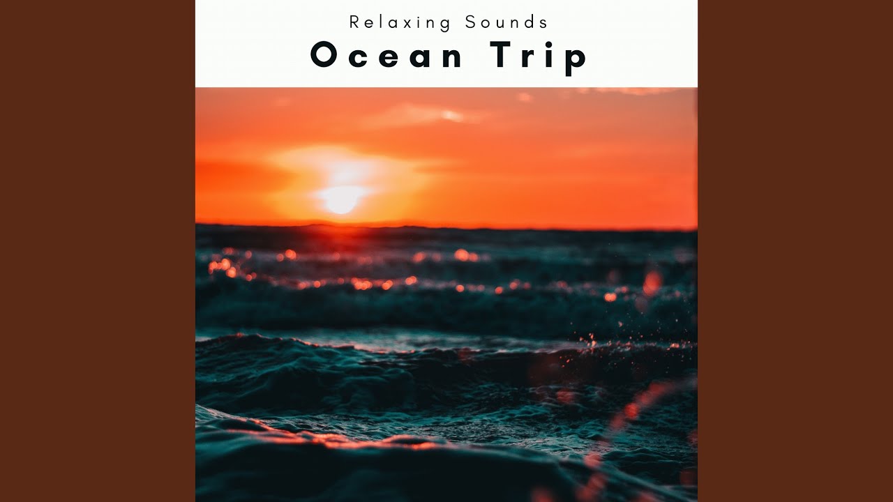 Soft Night Ocean Music Journey for Total Recharge