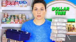 10 Brilliant Dollar Tree Organizing Finds: Must Haves for $1
