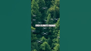 The Evolution of Smart Dust in Environmental Monitoring