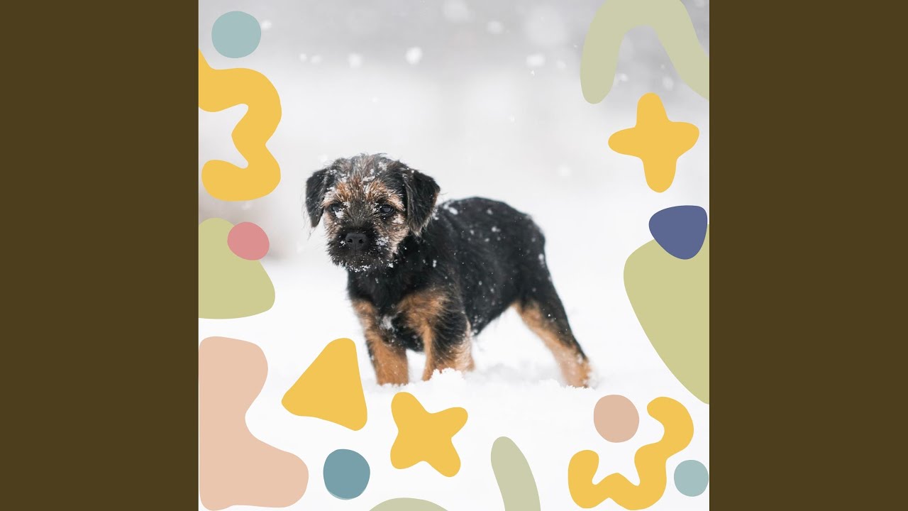 Terrific Moods for Dog Rewards