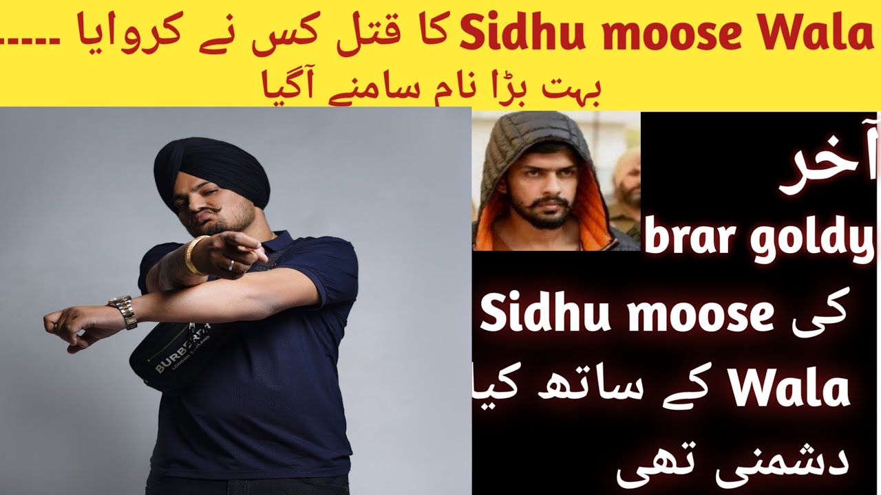 who killed Sidhu moose Wala /brar goldy nay Sidhu ka qattal q Kiya #information #sidhumoosewala