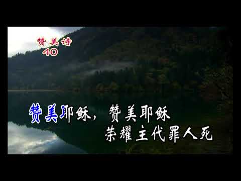 040主之宝血