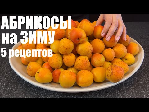 Видео: ВОТ ТАК нужно заготавливать АБРИКОСЫ: пять лучших способов хранения абрикосов НА ЗИМУ