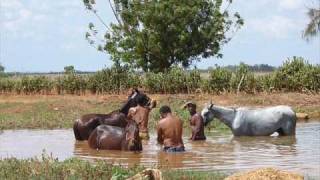 jorge guerrero. al cafe y a los caballos. chords