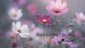 Rain on the Cosmos – Healing Music for a Quiet Autumn Rainy Day / Mitsuno Ambient