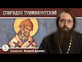 СВЯТИТЕЛЬ СПИРИДОН ТРИМИФУНТСКИЙ.  Священник Валерий Духанин