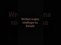 pingwin wróbel świat ptasi wojna 😥