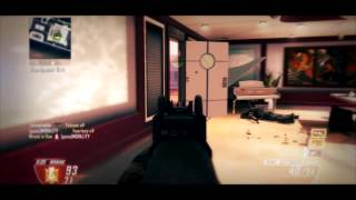 Rise to Success Teamtage - BO2