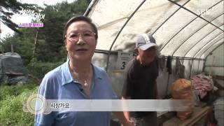 ์๊ฐ ํฌ์ฐฉ ์ธ์์ ์ด๋ฐ ์ผ์ด 20130704 #32(2)