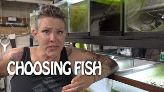Which fish and shrimp made the cut? Summer Tubbing Updates