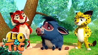 Leo and Tig 🦁 Bad Luck - Episode 21 🐯 Funny Family Good Animated Cartoon for Kids