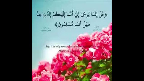 تلاوه قصيره (ياسر الدوسري )