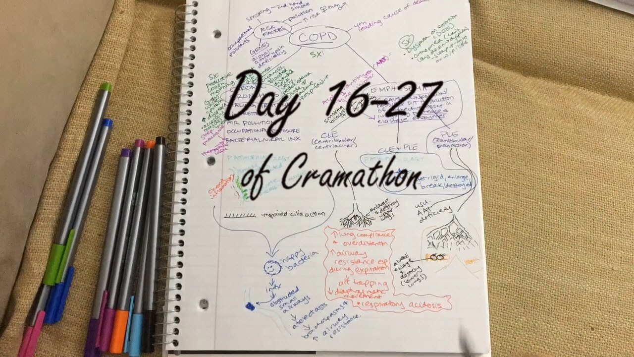 excelsior-nursing-school-experience-cramathon-days-16-27-youtube