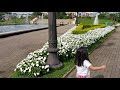 PARQUE TANGUÁ EM CURITIBA O PARQUE LINDO COM IZADORA4