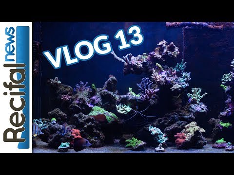 vlog 8 sébastien interzoo