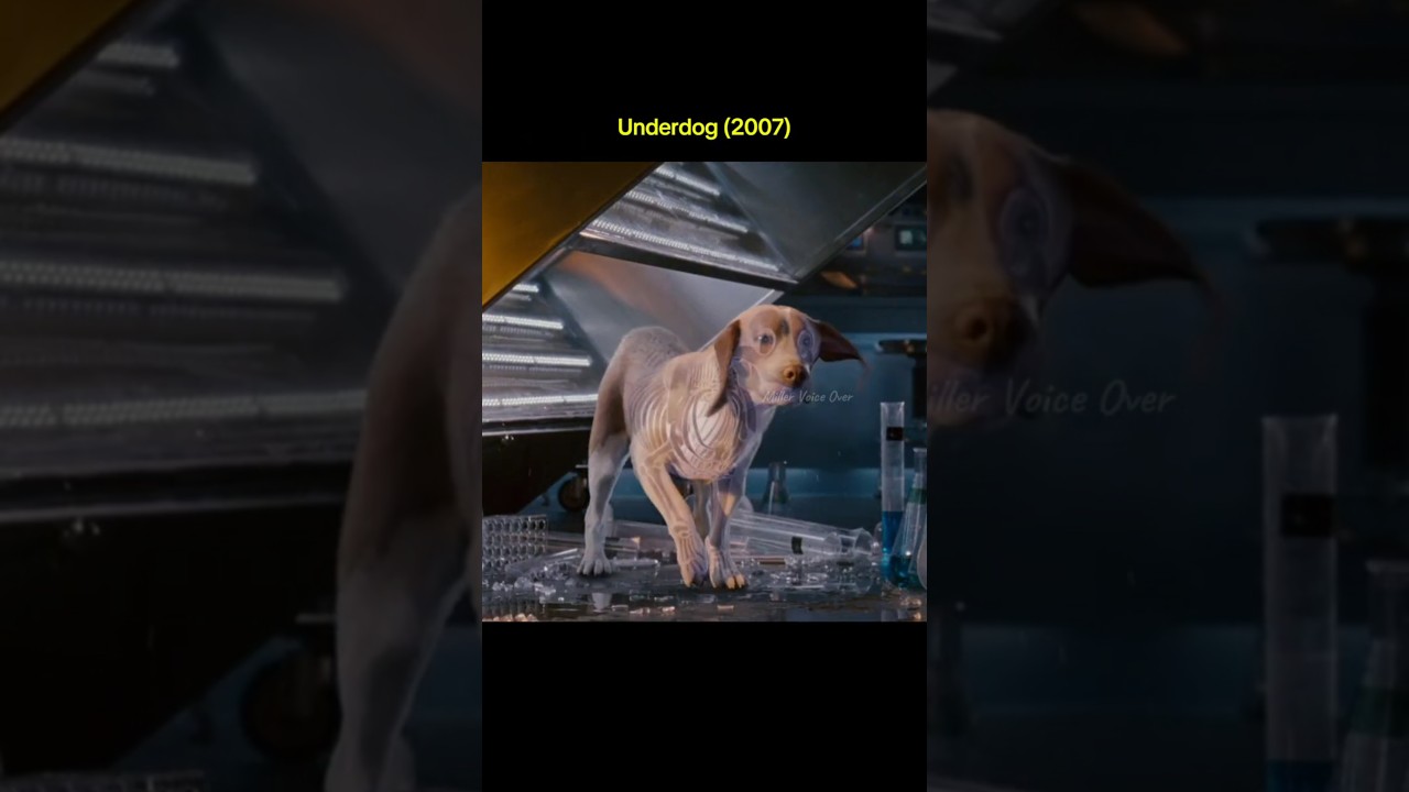 Street dog gets super power #tamilvoiceover #moviereview #tamilmovie #tamilstory #underdog #superdog