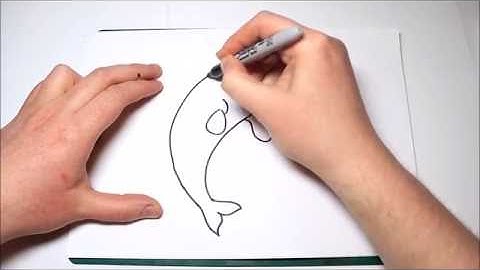 Easy How To Draw Bailey From Finding Dory For Kids