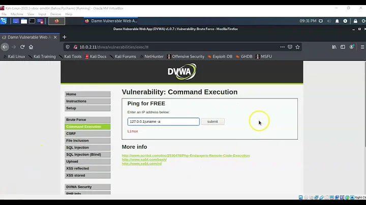 Exploit Vulnerable Web Applications Using Command Injection