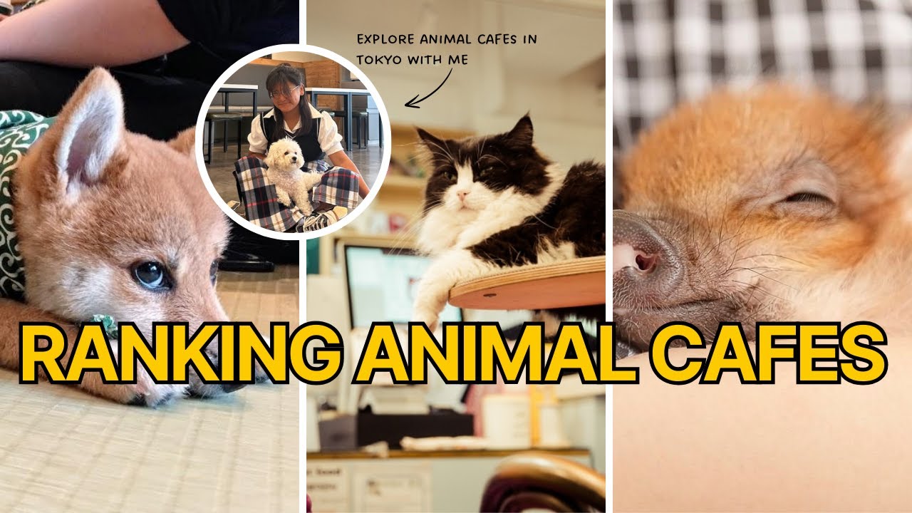I Tried 5 Tokyo Animal Cafés - Ranking From Heartbreaking to Healing! 🐶