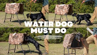 Waterfowl Dog Training... You Must Train For This