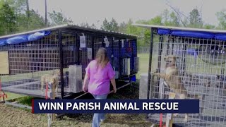 Winn Parish Sheriff’s Office launches 2nd Chance Rescue Program