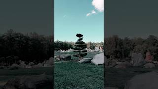 #харьков #travel #природа #экопарк
