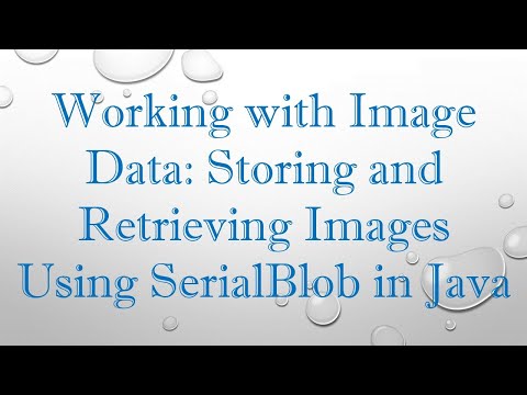 Working with Image Data: Storing and Retrieving Images Using SerialBlob in Java
