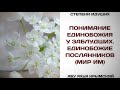 164. Понимание Единобожия у заблудших || Абу Яхья Крымский