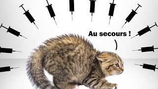 Combien de chatons seront tués par les vaccins en 2021 ?