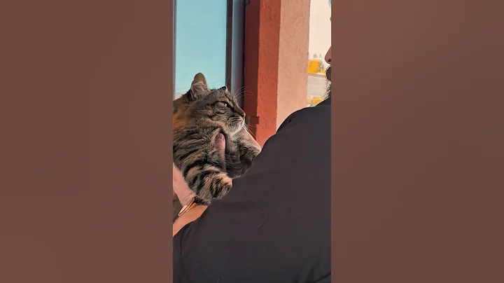 You’ve been scammed — here’s the truth about longevity and detox. #shorts #detox #fypシ