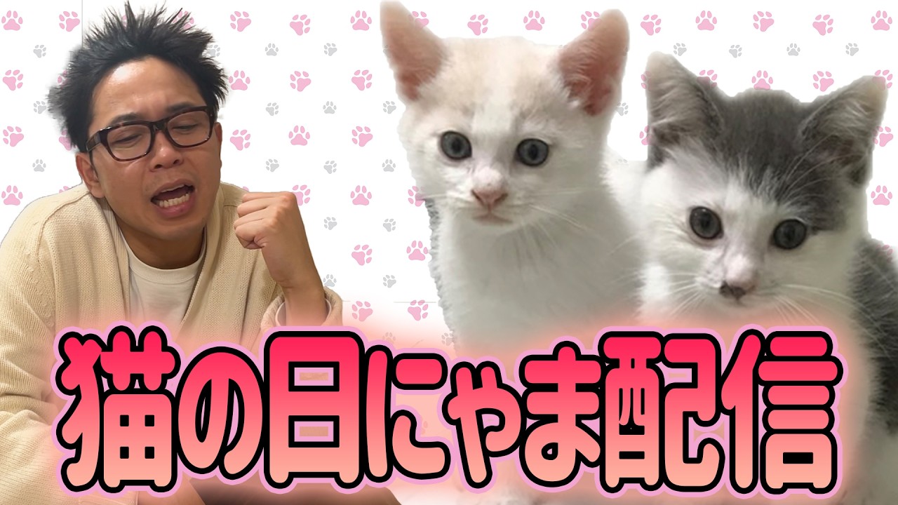 サンシャイン池崎猫の日チャリティーにゃま配信!