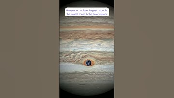 Jupiter Holds The Largest Moon #shorts #astronomy #cosmos #space