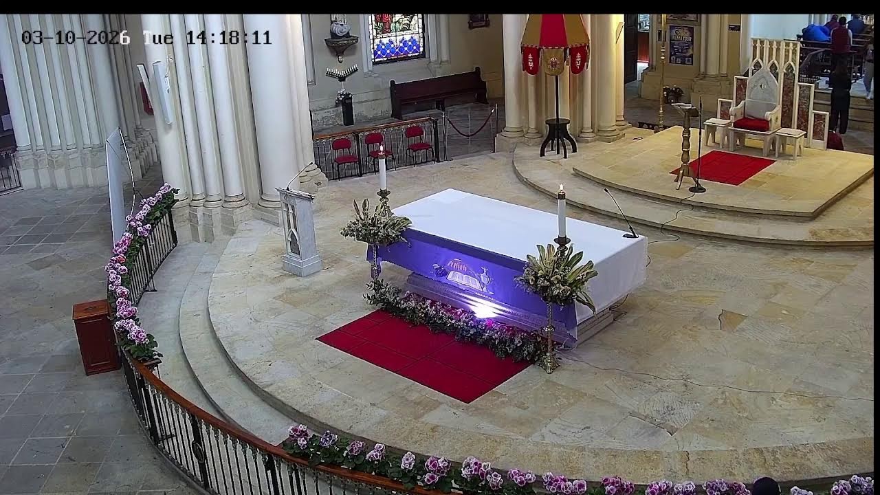 Transmisión Eucaristía Basílica de Lourdes   2024