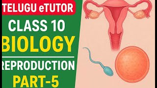 Reproduction Part- 5| 10వ తరగతి జీవశాస్త్రం | Class 10 Biology | Dsc Biology