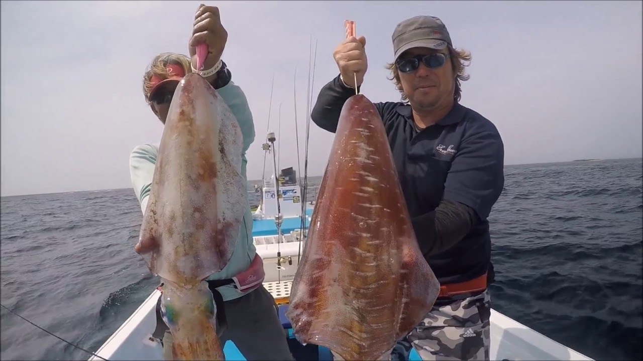 【沖縄ルアー】K701でディープエギング。Bigfin reef squid fishing.