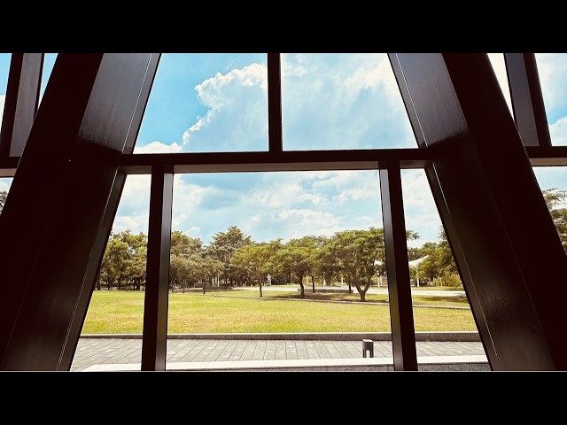 那個 阿屏 在嗎？#寶德旺費法國茶坊#屏東#蜂口令