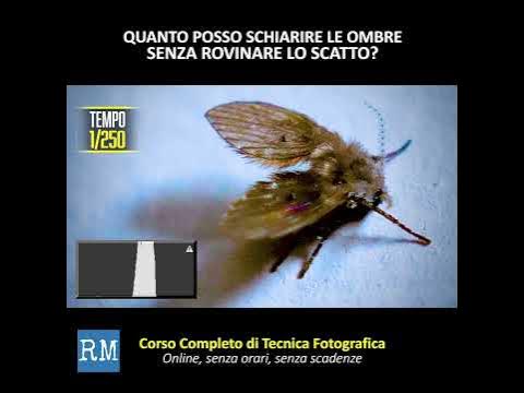 La sovraesposizione in fotografia - YouTube