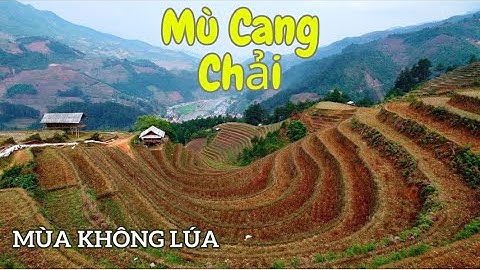 TÂY BẮC 2023 | Mù Cang Chải - Hà Giang | Vành Móng Ngựa, Đèo Khau Cọ, QL32, QL279|Ngày 4| 02.05.2023