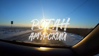 Ротан Амурский