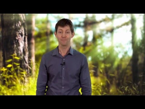Michael Greger MD How Nutritional Confusion is Paid For