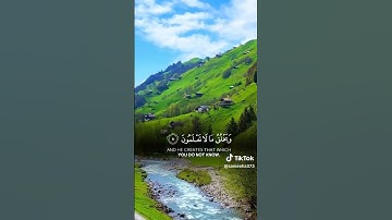 سورة النحل الاية 8 ❤️ #القرآن_الكريم