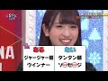 【ひらがな推し】EP08 話 春日に挑戦!スタント対決後半【嘘かホントか字幕組】