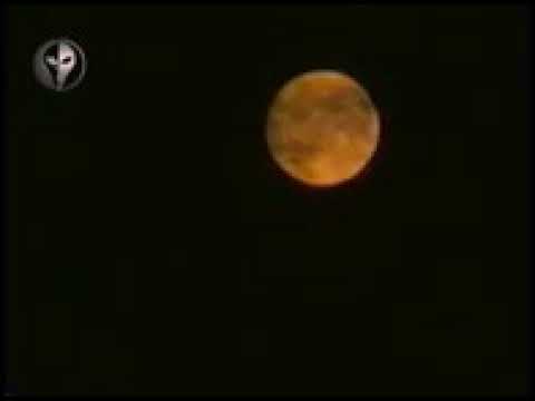 شب سرد و شراب تند فرهاد دریا