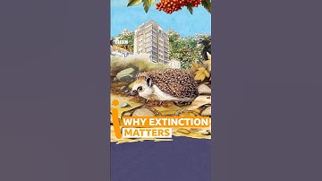 Why does it matter if an animal becomes extinct? #BBCIdeas #shorts
