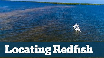 Find Feeding Redfish - Florida Sport Fishing TV - Awesome Show Along Gulf Coast