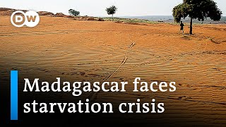 Madagascans face starvation amid droughts | DW News