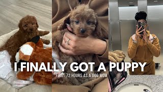 Celebrity Getting A New Puppy| First 72 Hours Vlog| Meet Nala💕 Wealth
