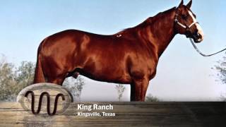 AQHA 75Year Breeder Salute