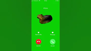 نغمة ايفون Oia القطة الجميلة IPhone 