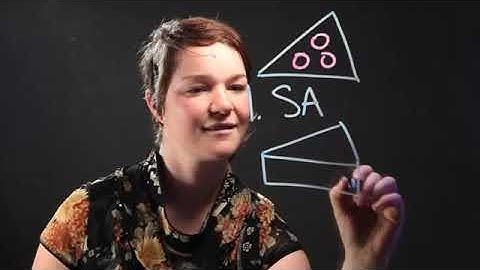 Hands-on Activities for Triangles in Geometry Classes